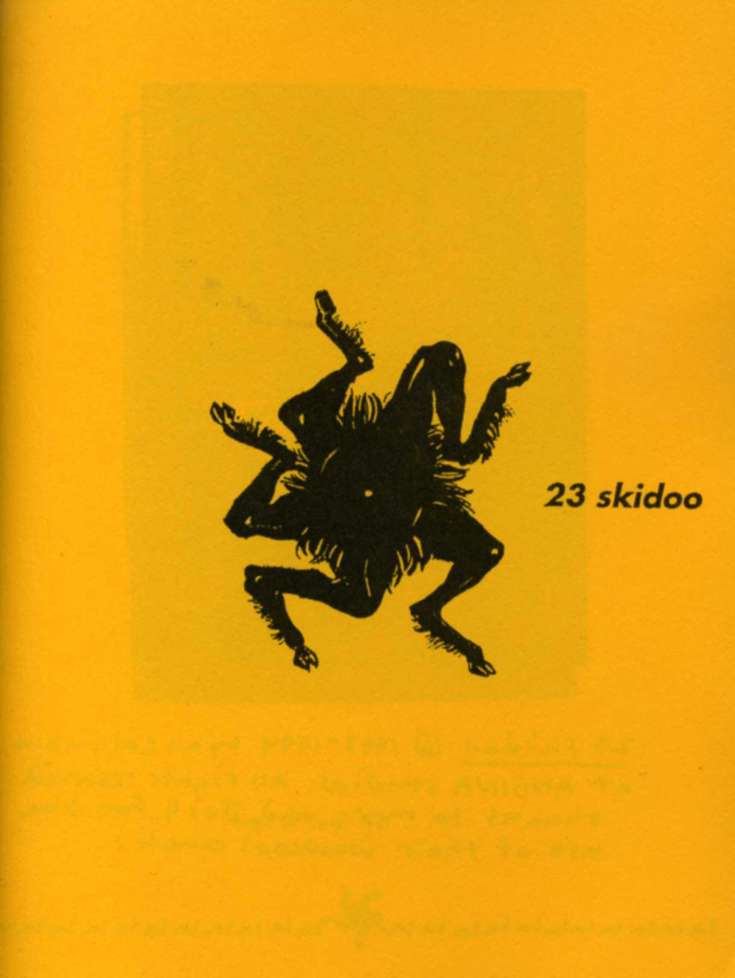 23 Skidoo