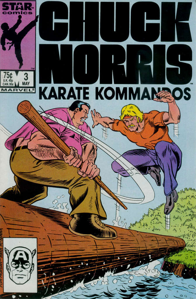 Chuck Norris #3