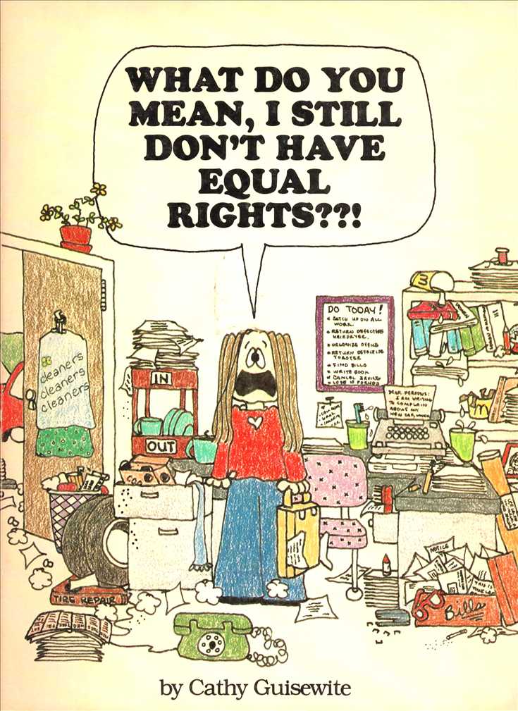 What Do You Mean, I Still Don’t Have Equal Rights??!