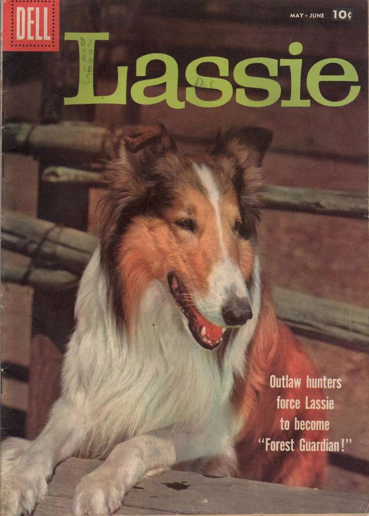 Lassie #40