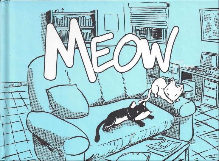 Meow (Jose Fonollosa)