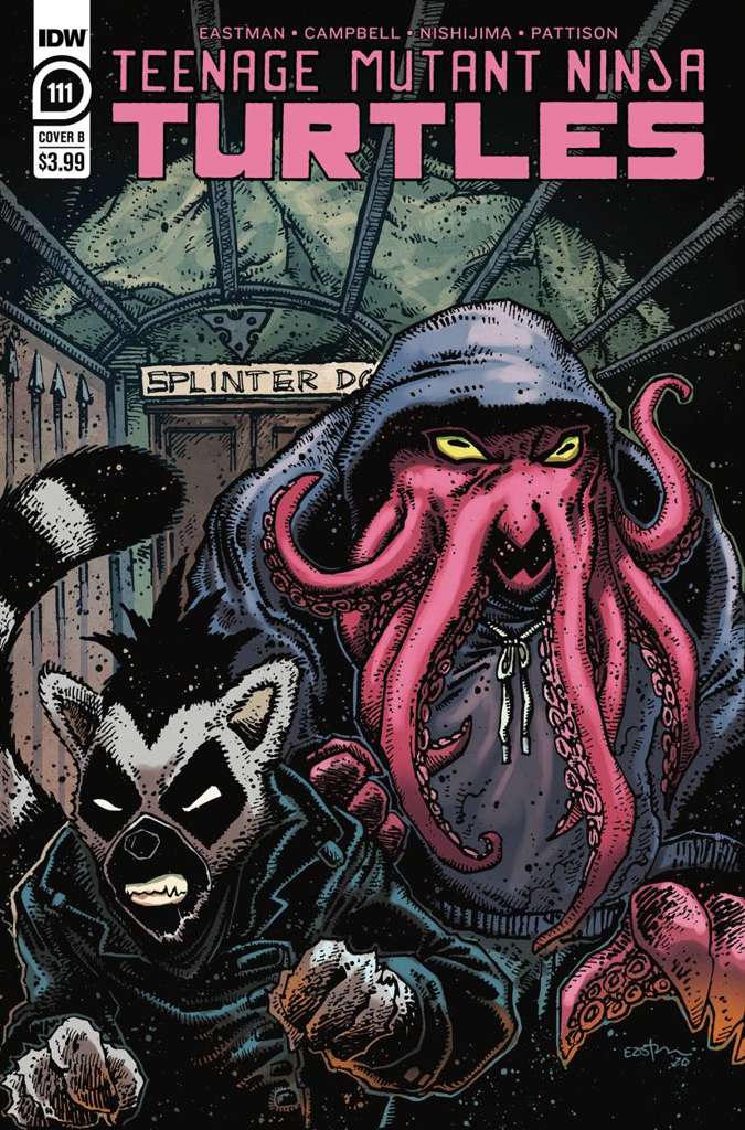 Teenage Mutant Ninja Turtles (5th Series) #111 Variation B