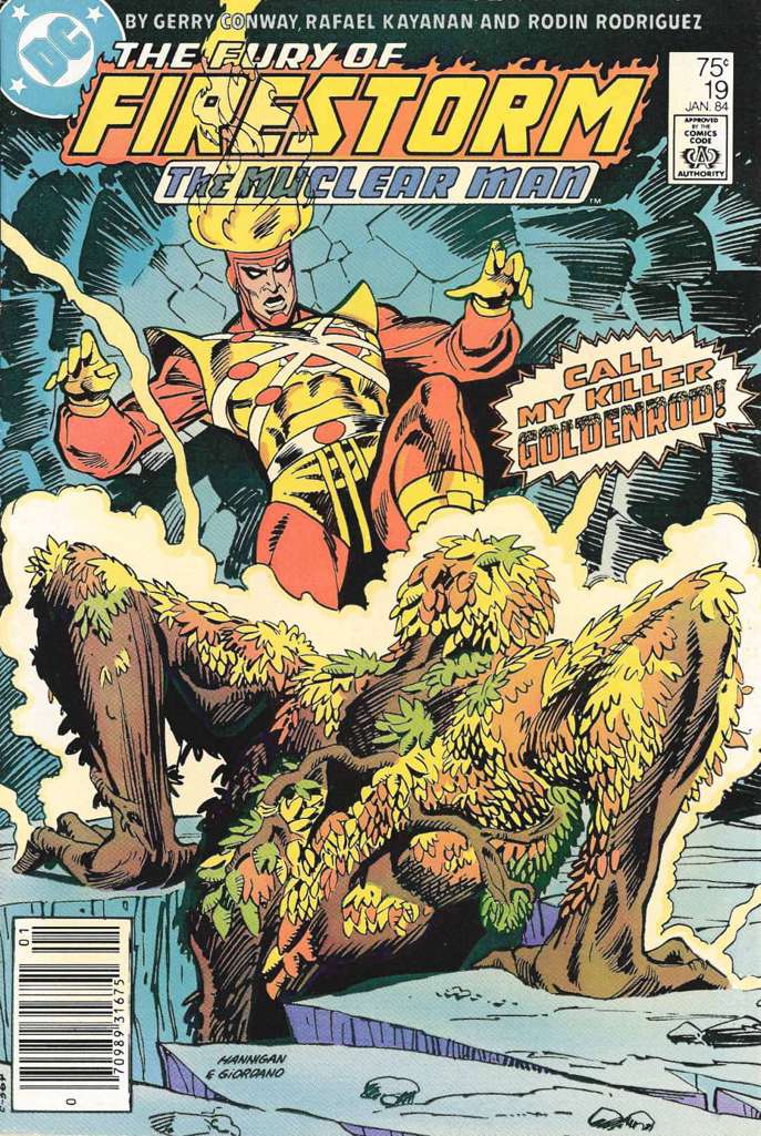 The Fury of Firestorm #19 Newsstand Edition