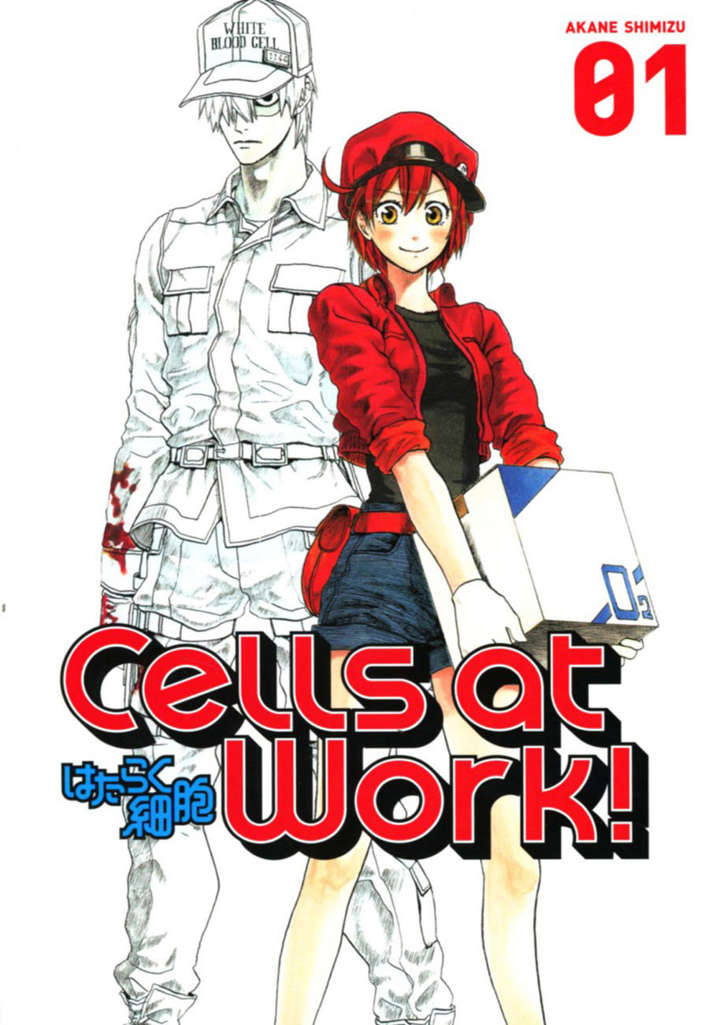 Cells at Work