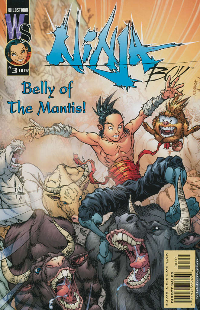 Ninja Boy #3