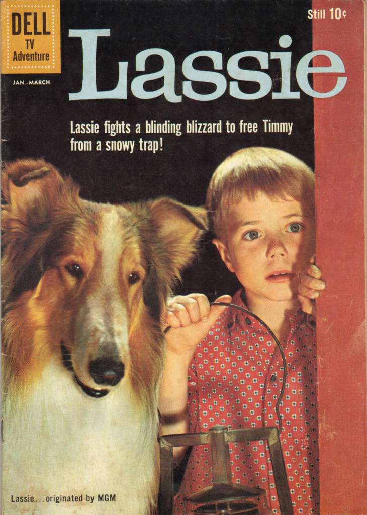 Lassie #48
