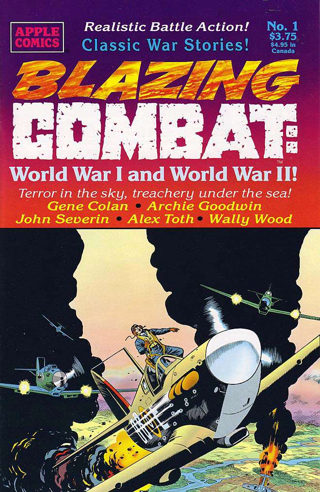 Blazing Combat: World War I and World War II