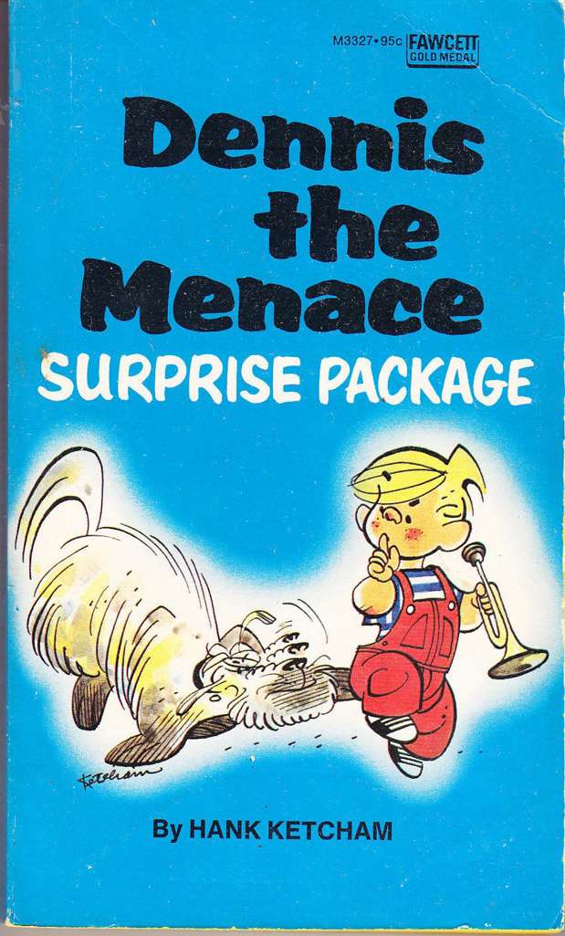 Dennis the Menace: Surprise Package