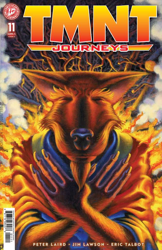Teenage Mutant Ninja Turtles: Journeys #11 Variation A