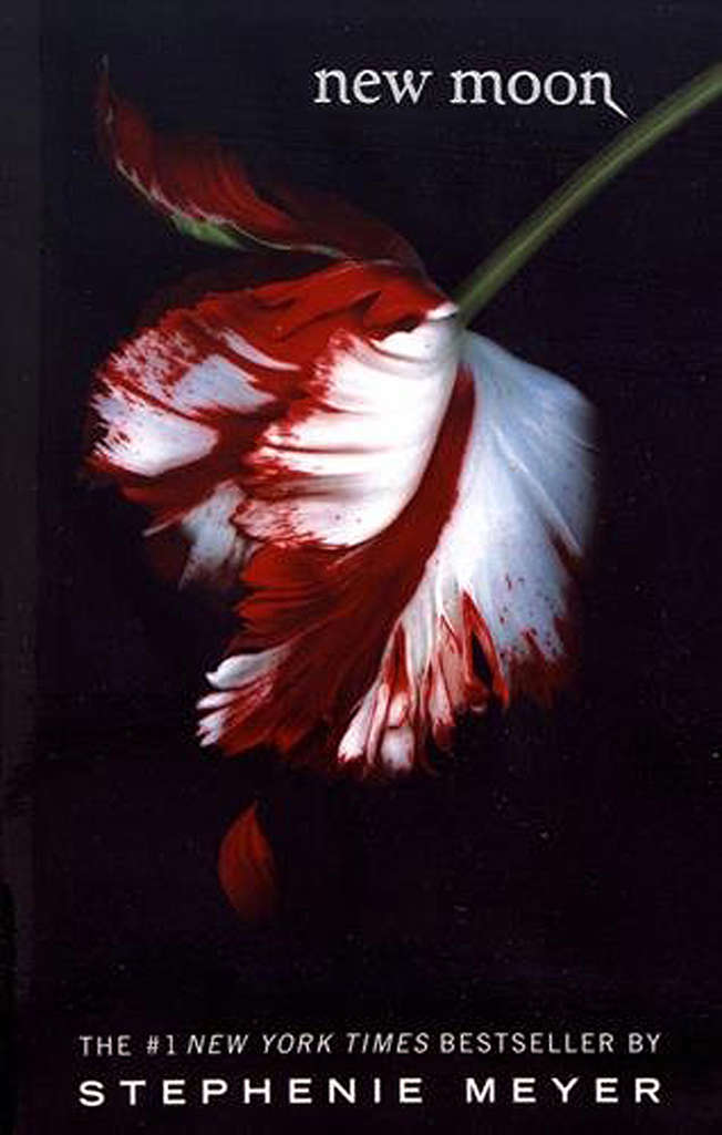New Moon (Yen)