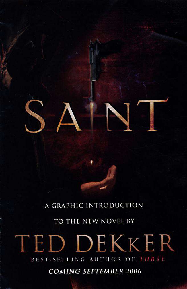 Saint, a Graphic Introduction