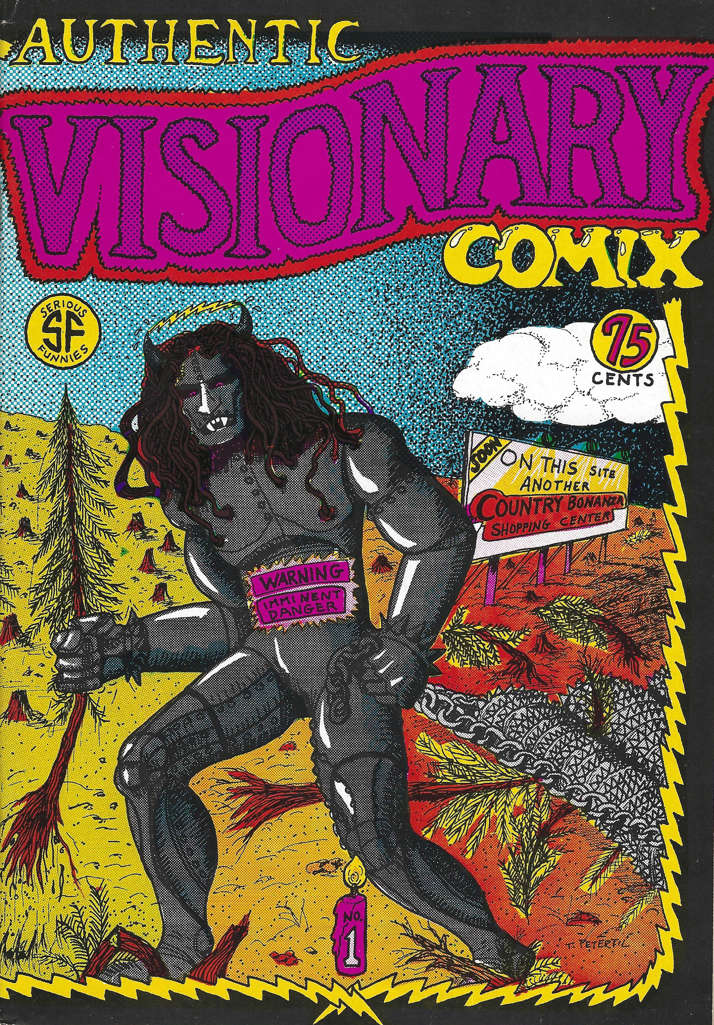 Authentic Visionary Comix