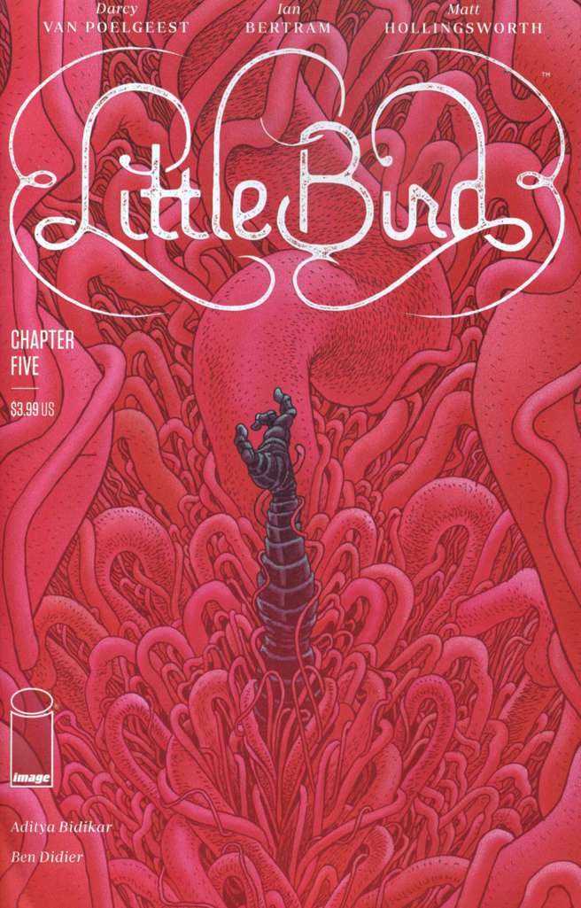 Little Bird #5