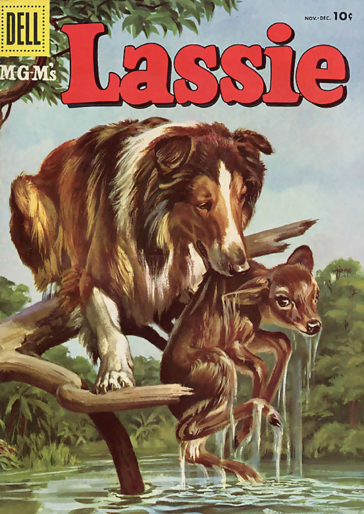 Lassie #31