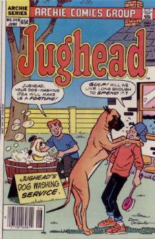 Jughead (Vol. 1) #340