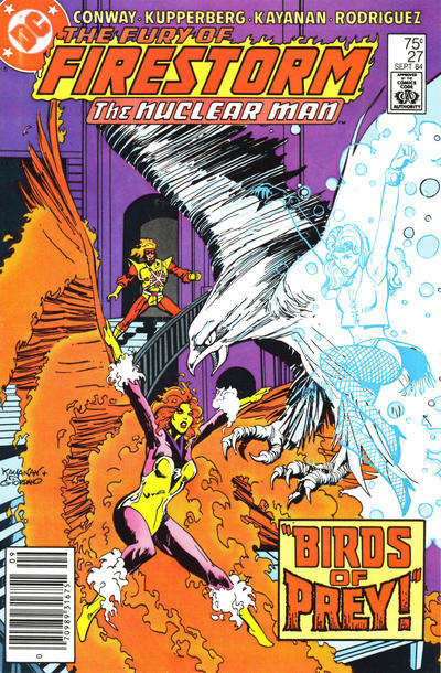 The Fury of Firestorm #27 Newsstand Edition