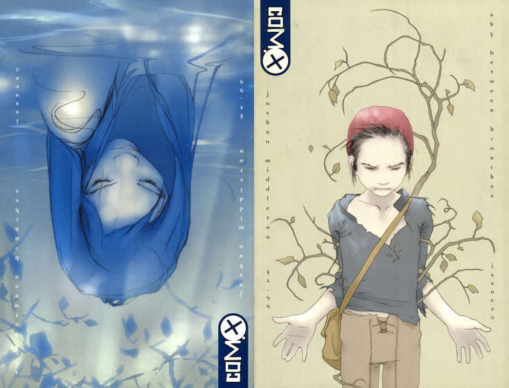 Sky Between Branches