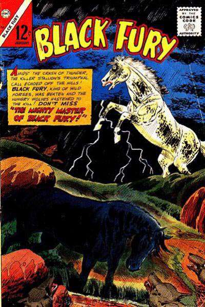 Black Fury #56