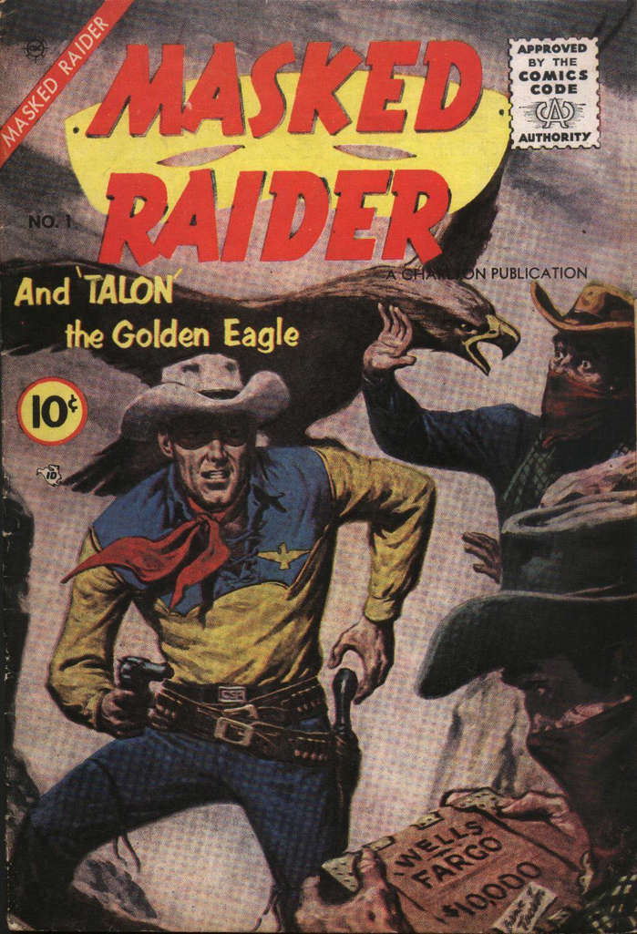 Masked Raider