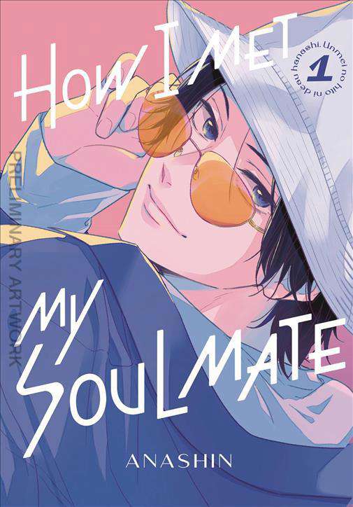 How I Met My Soulmate
