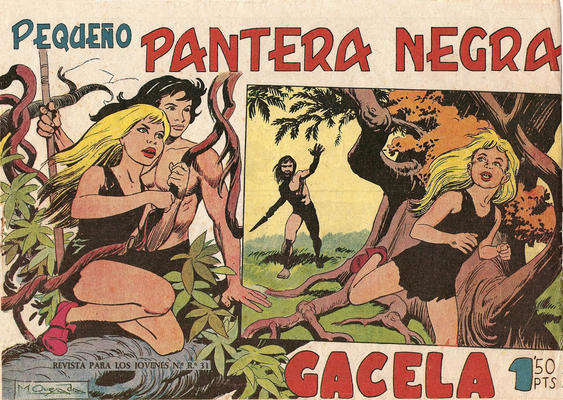 Pequeño Pantera Negra