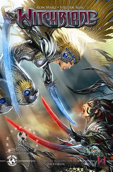 Witchblade Book #17