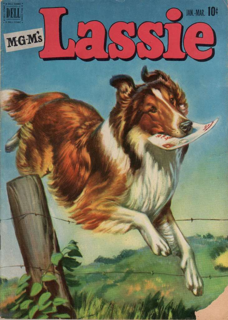 Lassie #6