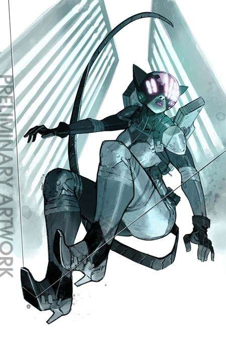 Absolute Catwoman #2 Variation E