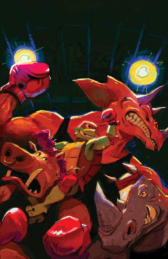 Tales of the Teenage Mutant Ninja Turtles: Coastal Chaos #1 Variation D