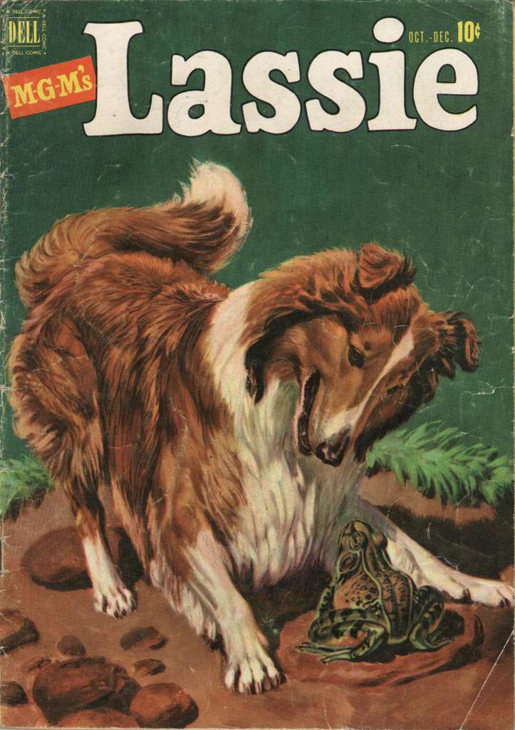 Lassie #5
