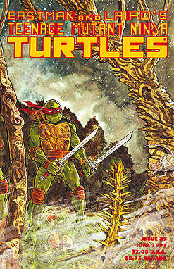 Teenage Mutant Ninja Turtles (1st Series) #37