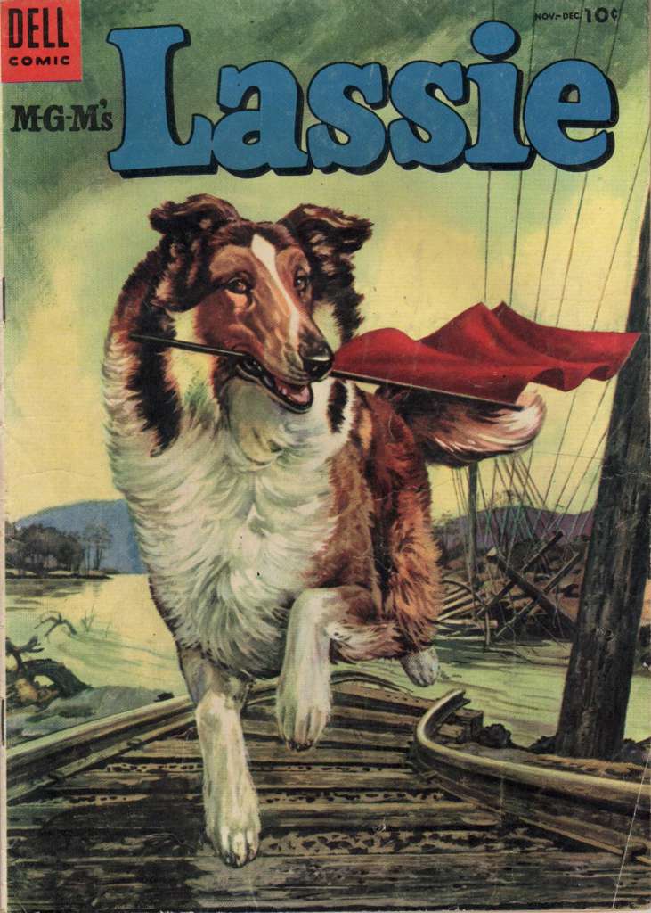 Lassie #19