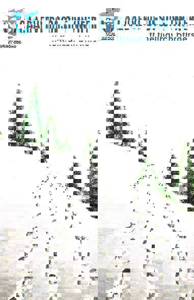 Cadaver Dogs Of Winter