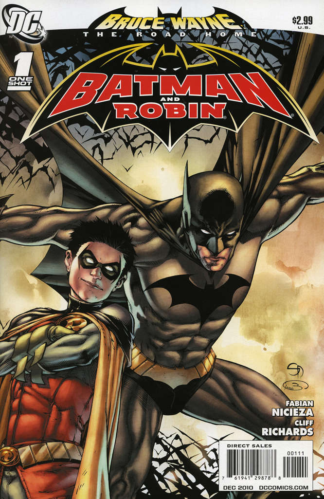 Bruce Wayne: The Road Home: Batman and Robin