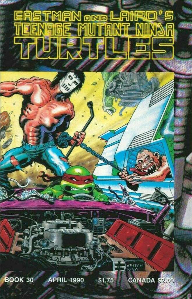 Teenage Mutant Ninja Turtles (1st Series) #30