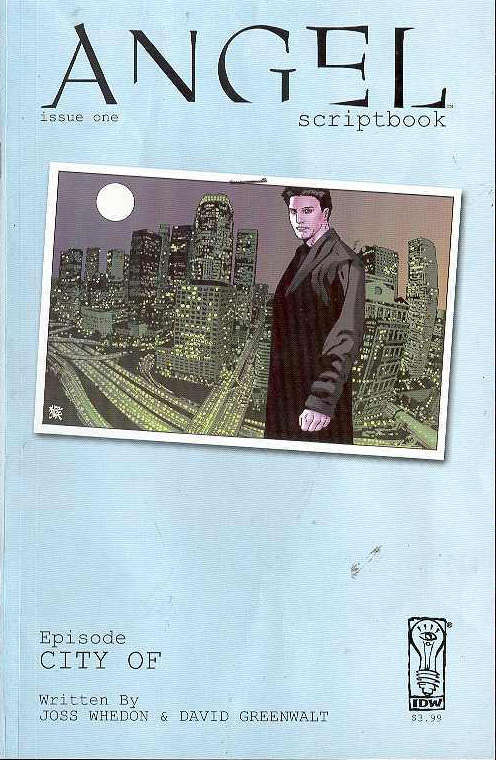 IDW Publishing Scriptbooks: Angel #1