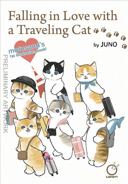 Falling in Love With A Traveling Cat