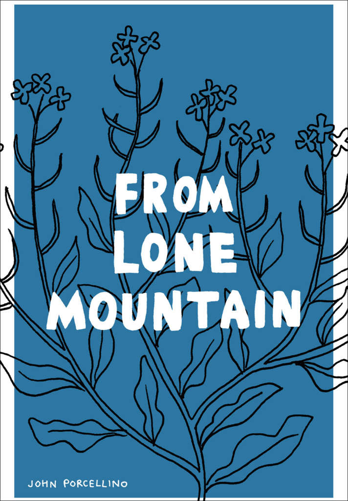 From Lone Mountain