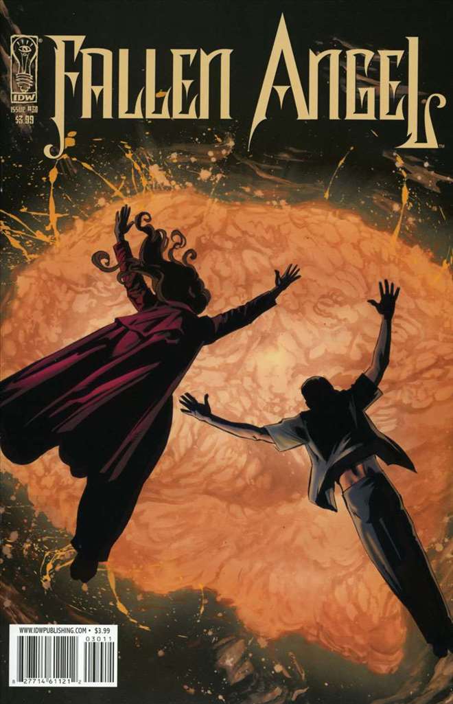 Fallen Angel (IDW) #30
