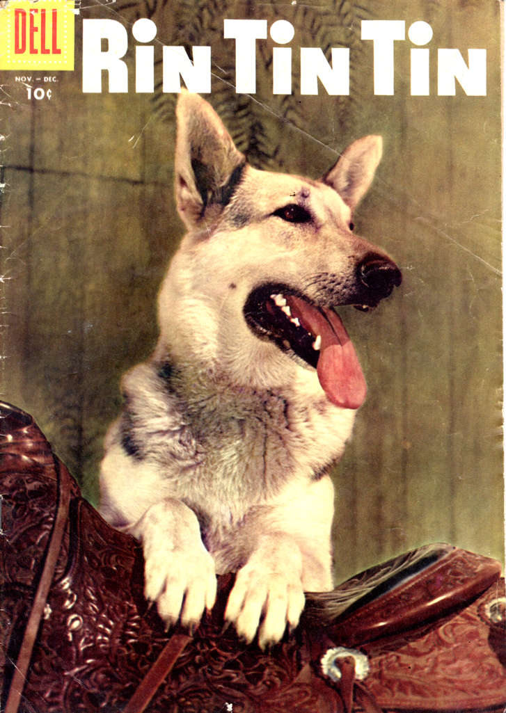 Rin Tin Tin #16