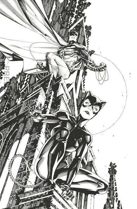 Batman/Catwoman: The Gotham War—Battle Lines #1 Variation E