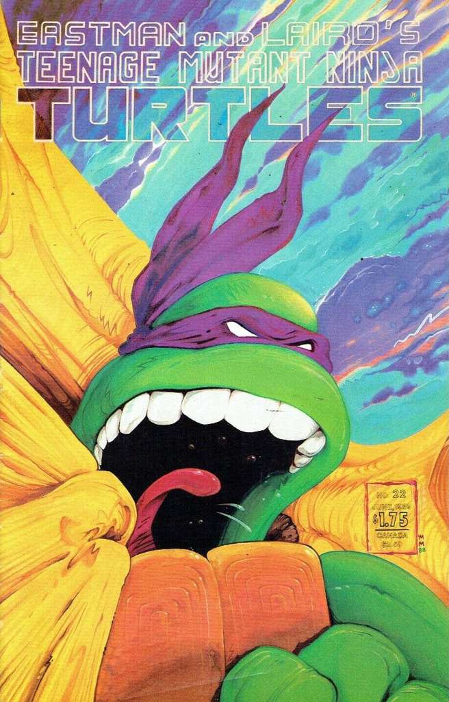 Teenage Mutant Ninja Turtles (1st Series) #22