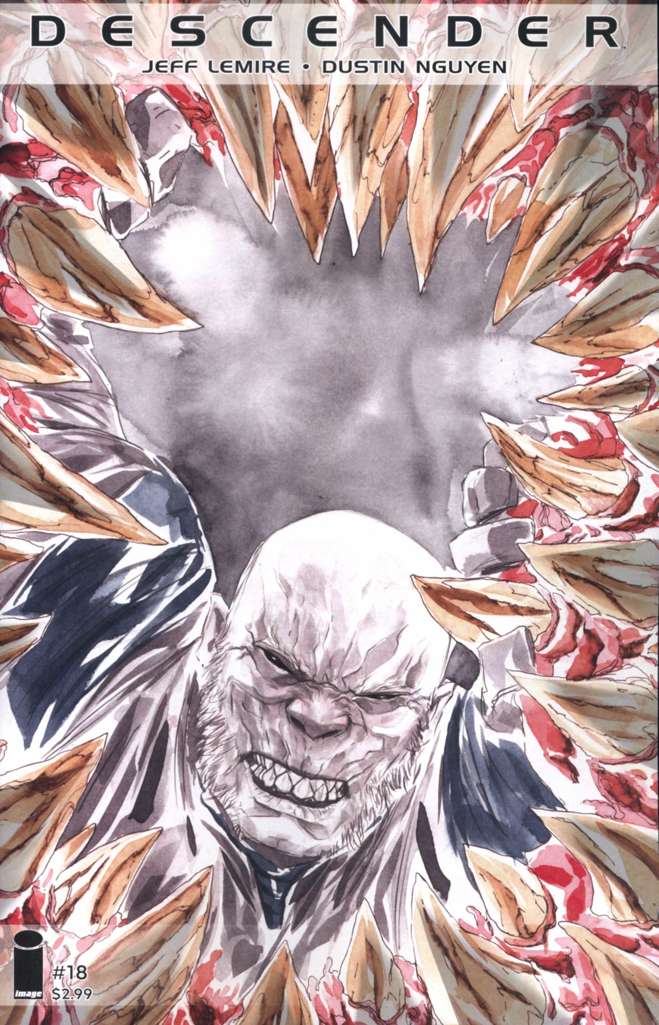 Descender #18
