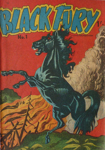 Black Fury (Cleland)