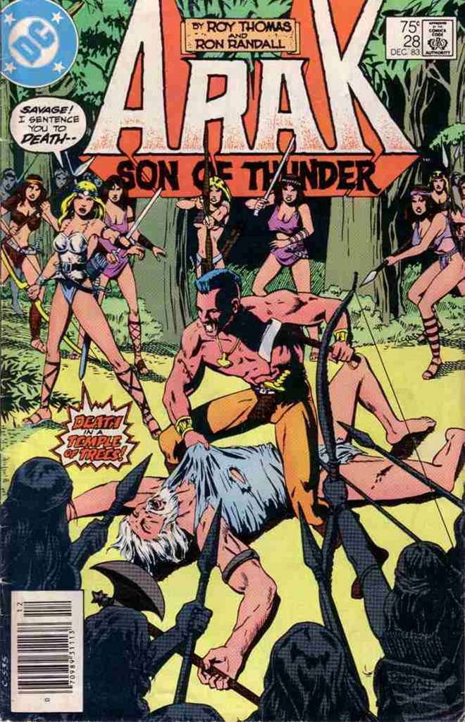 Arak Son of Thunder #28 Newsstand Edition