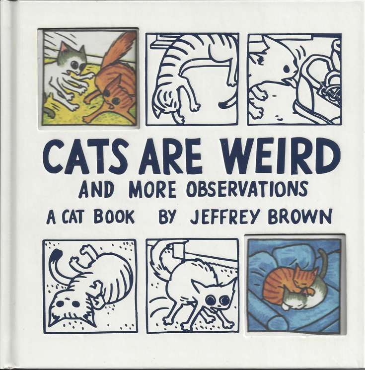 Cats Are Weird