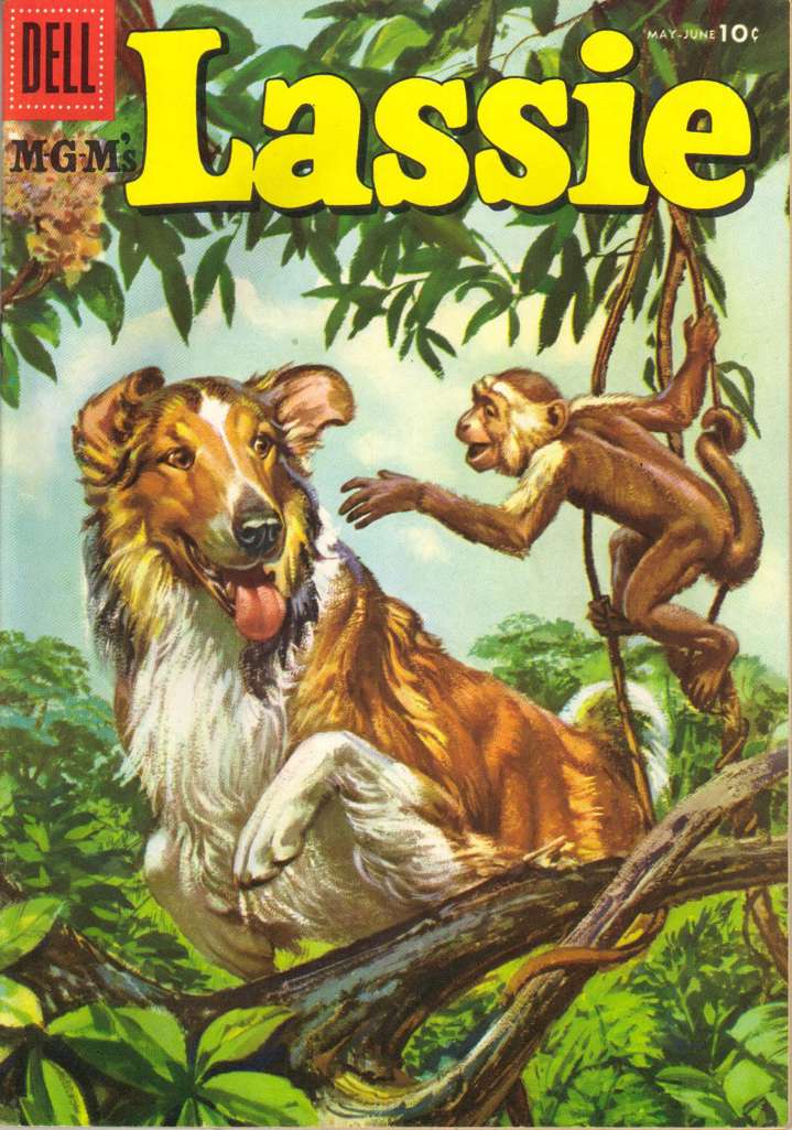 Lassie #28