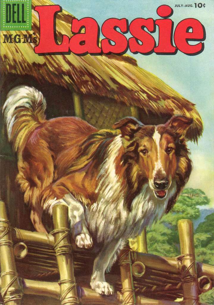 Lassie #29