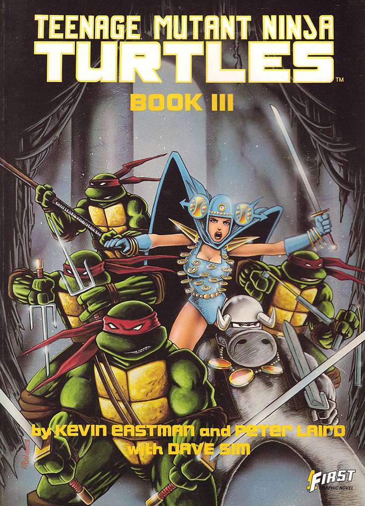 First Graphic Novel Book #15