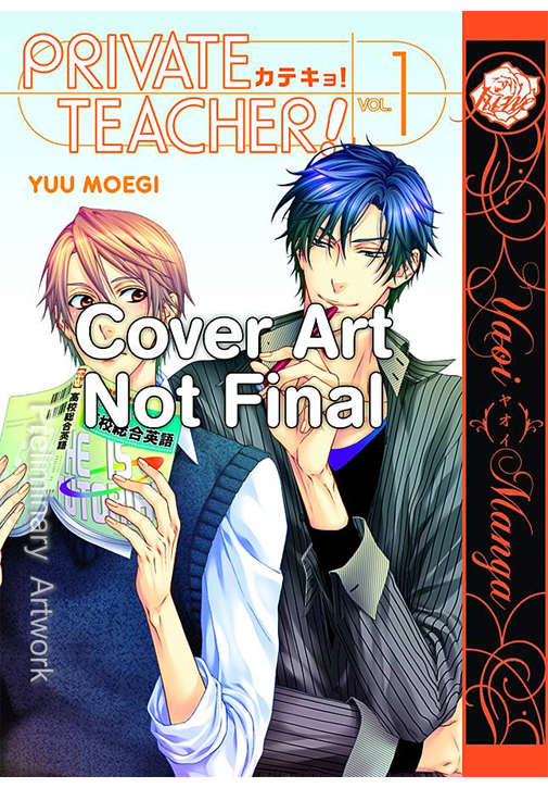 Private Teacher
